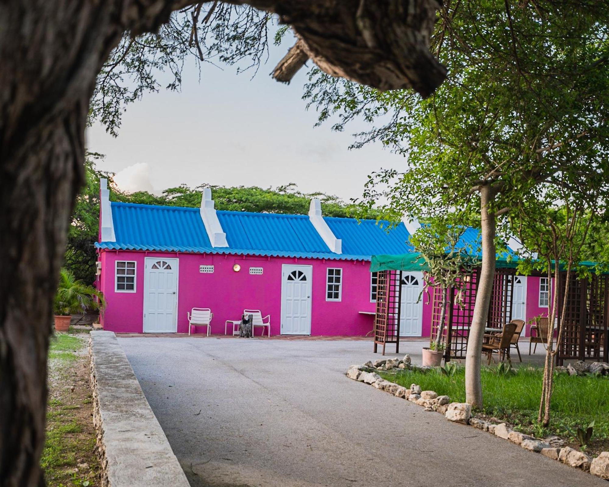 Landhuis Daniel - Plantation House Tera Kora Экстерьер фото